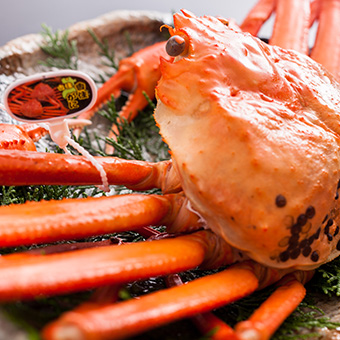 春プラン　秋プラン