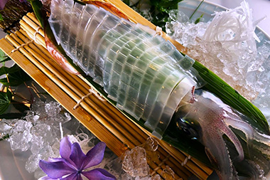 活イカ・のどぐろプラン